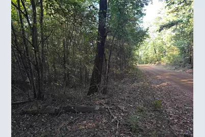 Tbd Cr 2864/Off Road, Hughes Springs, TX 75656 - Photo 5