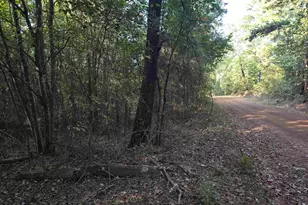 Tbd Cr 2864/Off Rd, Hughes Springs, TX 75656 - Photo 5