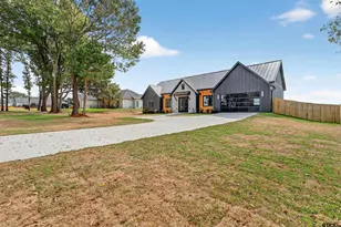 15343 County Rd 196, Tyler, TX 75703 - Photo 3