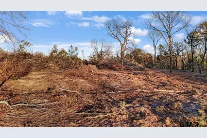 Tbd County Road 3147 ( 17.489 Acres), Tyler, TX 75706 - Photo 3