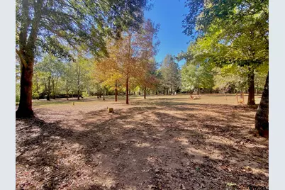 260 Acr 1261, Elkhart, TX 75839 - Photo 23