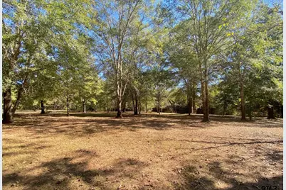 260 Acr 1261, Elkhart, TX 75839 - Photo 29