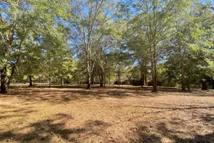 260 Acr 1261, Elkhart, TX 75839 - Photo 29