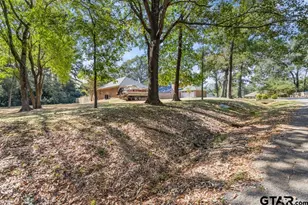 374 Royal Cir, Whitehouse, TX 75791 - Photo 37