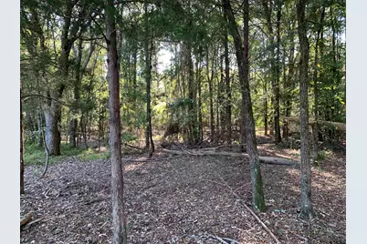 10769 Cr 3519, Murchison, TX 75778 - Photo 43