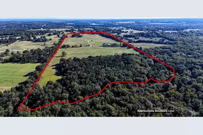 10769 Cr 3519, Murchison, TX 75778 - Photo 3