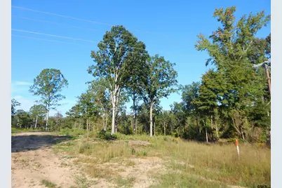 Tbd 7.57 Acres Hwy 259, Ore City, TX 75683 - Photo 7