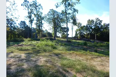 Tbd 7.57 Acres Hwy 259, Ore City, TX 75683 - Photo 11