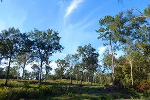 Tbd 7 57 Acres Hwy 259, Ore City, TX 75683 - Photo 1