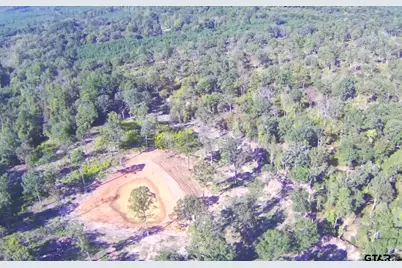 Tbd 7.57 Acres Hwy 259, Ore City, TX 75683 - Photo 3