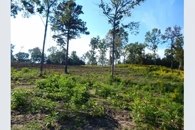 Tbd 7.57 Acres Hwy 259, Ore City, TX 75683 - Photo 19