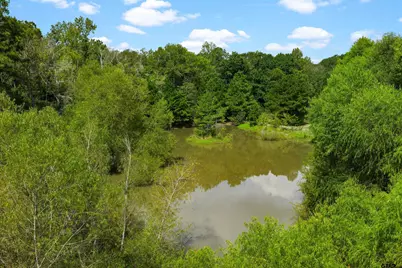 17315 Fm 2089, Overton, TX 75684 - Photo 7