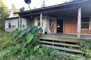 255 Co Rd 4247, Pittsburg, TX 75686 - Photo 3