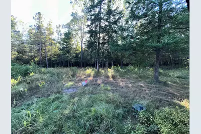 255 Cr 4247, Pittsburg, TX 75686 - Photo 25