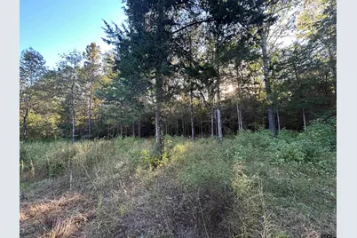 255 Cr 4247, Pittsburg, TX 75686 - Photo 23