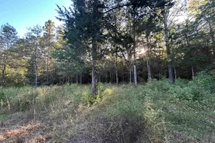 255 Co Rd 4247, Pittsburg, TX 75686 - Photo 23