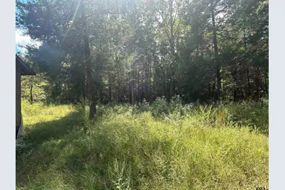 255 Cr 4247, Pittsburg, TX 75686 - Photo 9