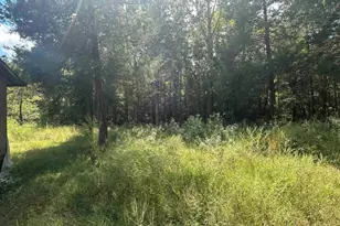 255 Co Rd 4247, Pittsburg, TX 75686 - Photo 9