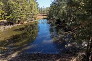 8477 S FM 14, Hawkins, TX 75765 - Photo 9