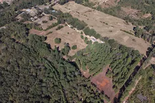 8477 S FM 14, Hawkins, TX 75765 - Photo 5