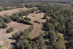 8477 S FM 14, Hawkins, TX 75765 - Photo 15