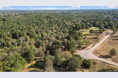 Tbd Pr 3398 Lot 31, Big Sandy, TX 75755 - Photo 9