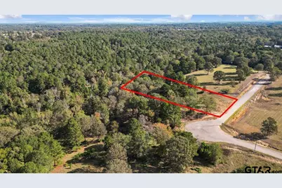 Tbd Pr 3398 Lot 31, Big Sandy, TX 75755 - Photo 1