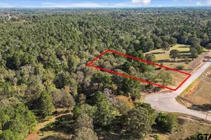 Tbd Pr 3398 Lot 31, Big Sandy, TX 75755 - Photo 1