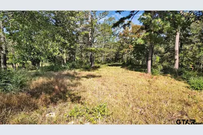 Tbd Pr 3398 Lot 31, Big Sandy, TX 75755 - Photo 5