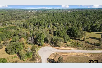 Tbd Pr 3398 Lot 32, Big Sandy, TX 75755 - Photo 9