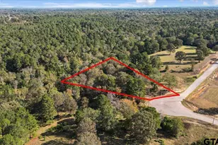 Tbd Pr 3398 Lot 32, Big Sandy, TX 75755 - Photo 1