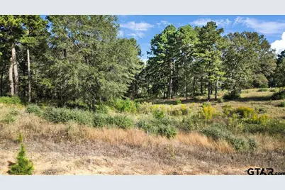 Tbd Pr 3398 Lot 32, Big Sandy, TX 75755 - Photo 5