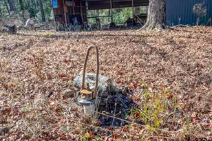 12364 E Sh 43, Tatum, TX 75691 - Photo 21