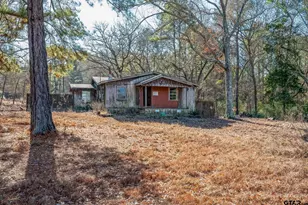 12364 E Sh 43, Tatum, TX 75691 - Photo 15