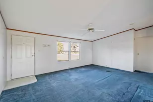 11621 Co Rd 4331, LaRue, TX 75770 - Photo 9