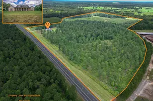 3333 State Hwy 204, Jacksonville, TX 75766 - Photo 1