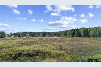 2600 County Road 417 D, Henderson, TX 75654 - Photo 29