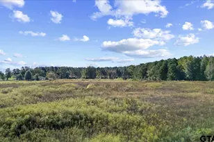 2600 Co Rd 417D, Henderson, TX 75654 - Photo 29