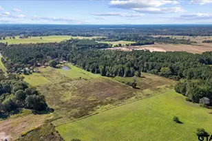 2600 Co Rd 417D, Henderson, TX 75654 - Photo 27