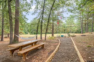 150 Green Oak, Holly Lake Ranch, TX 75765 - Photo 47