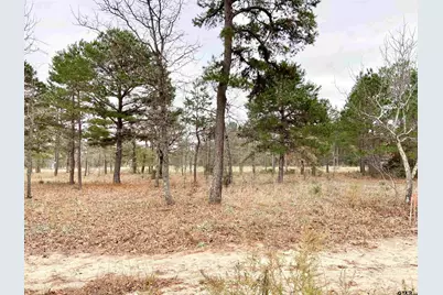 3729 Pine Wood Way  Lots 80 & L18, LaRue, TX 75770 - Photo 11