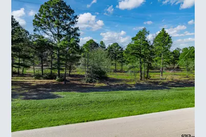 3729 Pine Wood Way  Lots 80 & L18, LaRue, TX 75770 - Photo 5