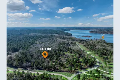 3729 Pine Wood Way  Lots 80 & L18, LaRue, TX 75770 - Photo 3