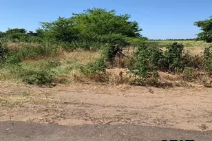 000 Cr 152, Bullard, TX 75757 - Photo 3