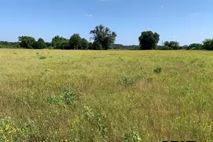 000 Cr 152, Bullard, TX 75757 - Photo 7