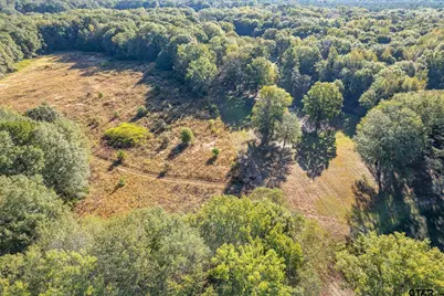 21289 Cr 2138, Troup, TX 75789 - Photo 11