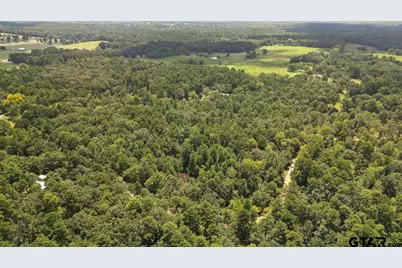 21430 County Road 2182, Whitehouse, TX 75791 - Photo 5