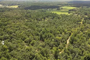 21430 County Rd 2182, Whitehouse, TX 75791 - Photo 5