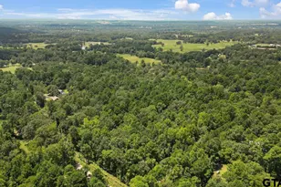 21430 County Rd 2182, Whitehouse, TX 75791 - Photo 1
