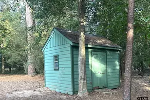 1931 Valleywood Trail, Holly Lake Ranch, TX 75765 - Photo 17